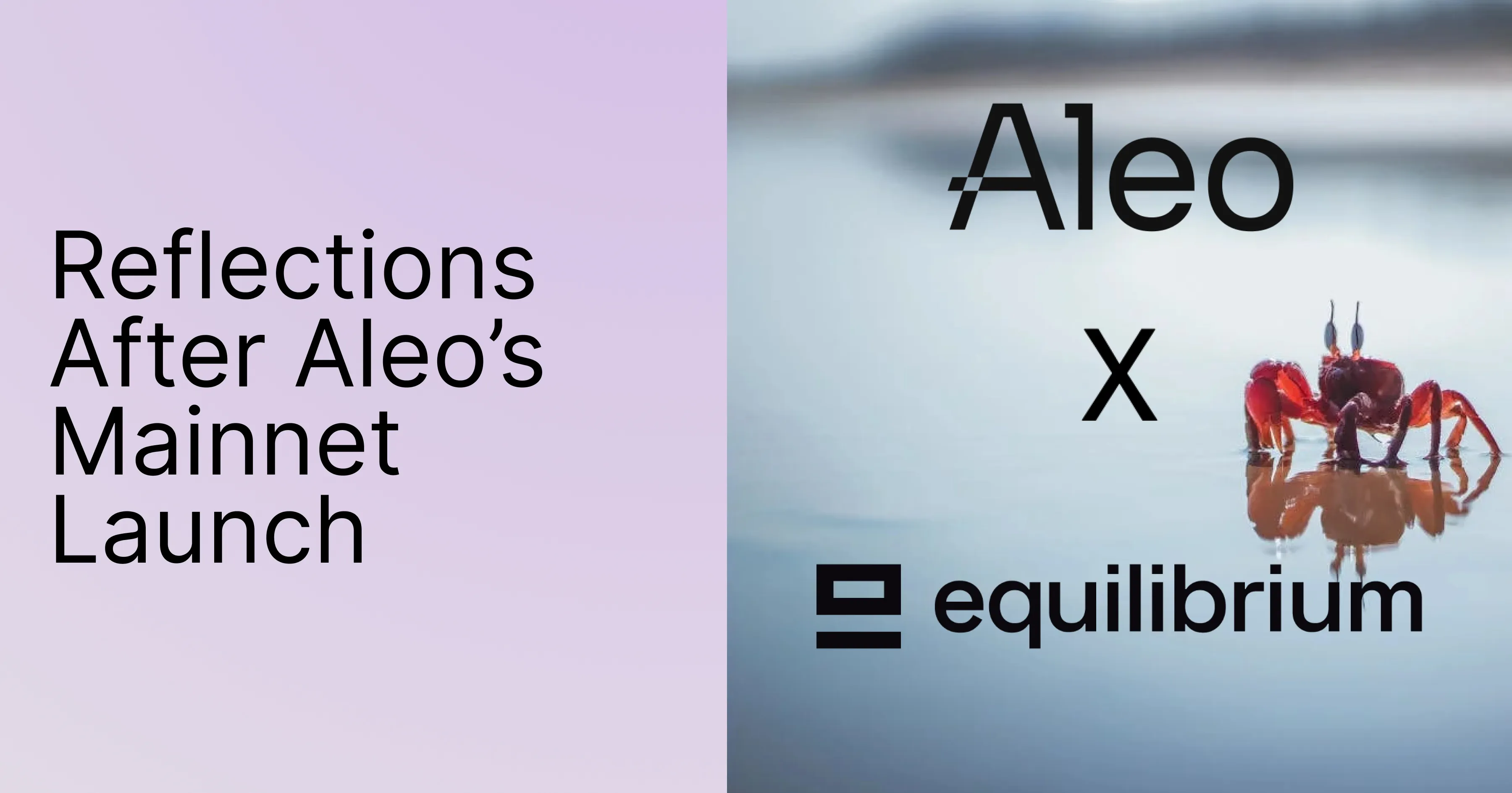 Aleo Mainnet Launch: Reflecting On The Journey So Far, Our Contributions And Path Ahead